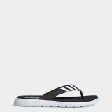Шлепанцы Adidas Comfort EG2069_image_1