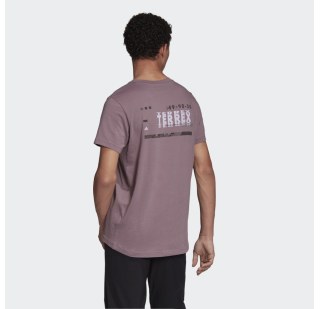 Футболка Adidas Terrex Graphic FI2420
