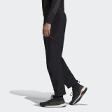 Брюки Мужские Adidas Terrex Hike Black DZ2042_image_2