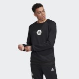 Чоловічий реглан Adidas TAN Crew Logo FJ6319_image_1