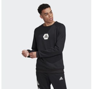 Мужской реглан Adidas TAN Crew Logo FJ6319