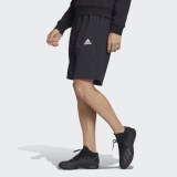 Шорты Adidas Tan Logo FJ6346_image_3