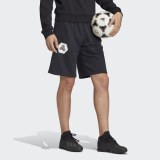 Шорты Adidas Tan Logo FJ6346_image_6