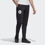 Брюки Adidas Tan Training FM0887_image_5