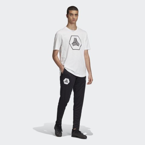 Брюки Adidas Tan Training FM0887_image_3