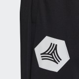 Брюки Adidas Tan Training FM0887_image_6