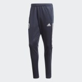 Тренировочные брюки Ювентус Adidas FR4272_image_9