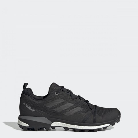 Чоловічі Кросівки Adidas Terrex Skychaser LT GTX F36099_image_1