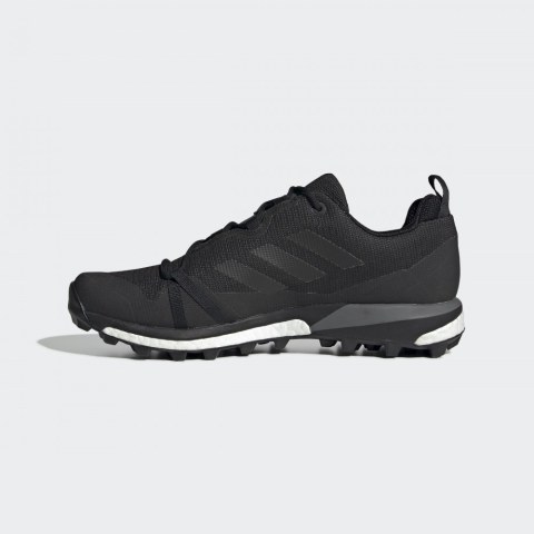 Чоловічі Кросівки Adidas Terrex Skychaser LT GTX F36099_image_2