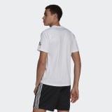 Футболка Adidas Designed 2 Move Performance GU2765_image_2
