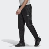 Флисові брюки Adidas Multi Primegreen TERREX GU6501_image_2