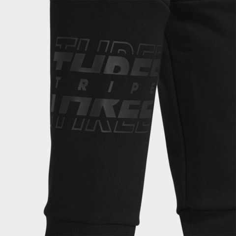 Брюки adidas Sportswear GT6368_image_4