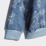 Спортивный костюм Adidas Originals Culture Clash DV2324_image_5