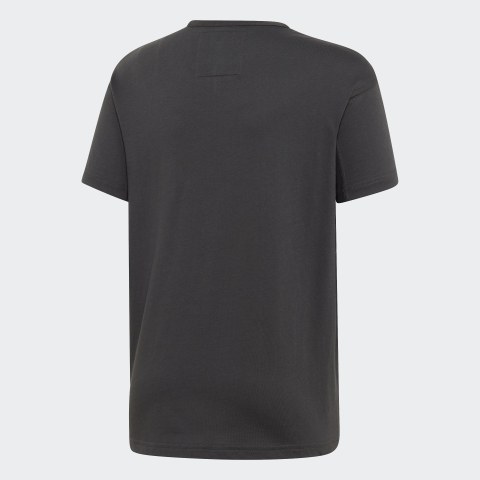 Футболка Adidas Originals Kaval DV2372_image_2
