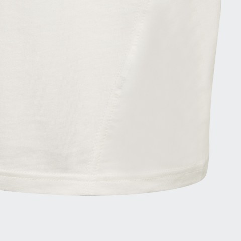 Футболка Adidas Originals Kaval DV2375_image_4
