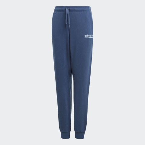 Штани Adidas Originals Kaval DV2377_image_1