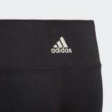 Леггисы Adidas Essentials Kids DV2747_image_3