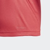 Футболка Adidas ' Training Climachill DV2798_image_5