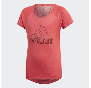 Футболка Adidas ' Training Climachill DV2798