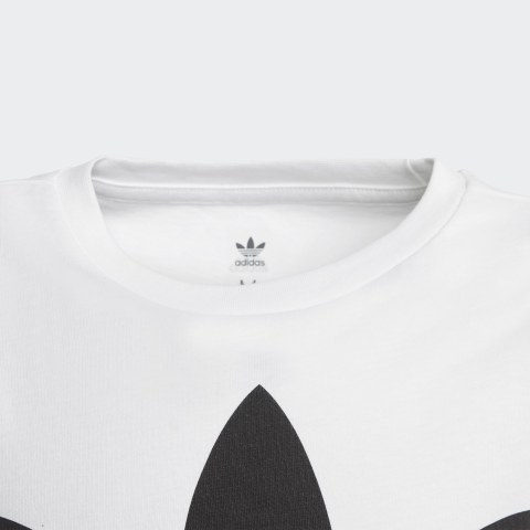 Футболка Adidas Originals Trefoil DV2904_image_3