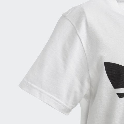 Футболка Adidas Originals Trefoil DV2904_image_4