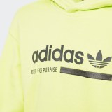 Худи Adidas Kaval Graphic DW9186_image_2