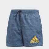 Шорты для плавания Adidas Badge of Sport DY6425_image_1
