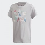 Футболка Adidas Originals EJ6330_image_1