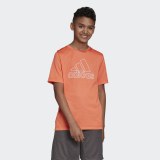 Футболка Adidas Climachill DV1403_image_1