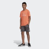 Футболка Adidas Climachill DV1403_image_5
