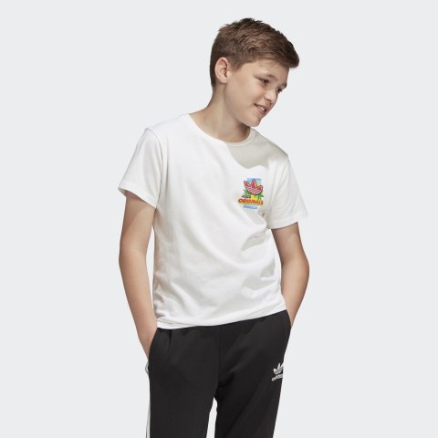 Футболка Adidas Graphic ED7838_image_1