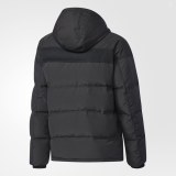 Мужской пуховик Adidas Down CD2324_image_2