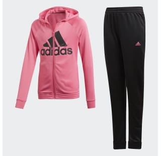 Спортивний костюм Adidas Hooded DV0841