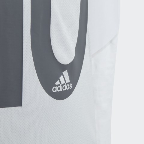 Футболка Adidas Messi Icon DV1320_image_3