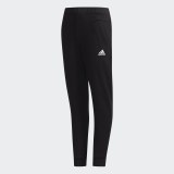 Спортивні штани Adidas Id Stadium DV1651_image_1