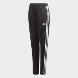 Дитячі брюки Adidas Tiro 19 D95961_image_1
