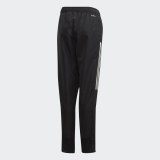 Дитячі брюки Adidas Condivo 20 EA2492_image_2