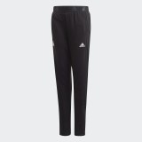 Дитячі штани Adidas Jb Fd Tiro Pt FL1406_image_1