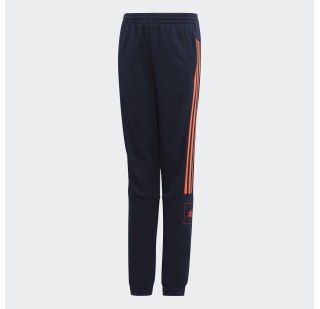 Дитячі штани Adidas Jb A Aac Ft Pt FL2813