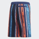 Детские пляжные шорты Adidas Ya Aop Shorts FL8717_image_2