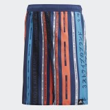 Детские пляжные шорты Adidas Ya Aop Shorts FL8717_image_1