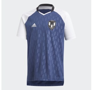 Детская футболка Adidas Messi Icon FM1725