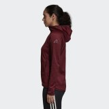 Толстовка Adidas Transitional DM4402_image_2