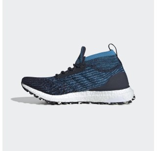 Чоловічі Кросівки Adidas Ultraboost All Terrain B37698
