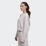 Укорочений джемпер жіночий Adidas Originals Coeeze CR Sweat DU2343_image_3