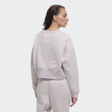 Укорочений джемпер жіночий Adidas Originals Coeeze CR Sweat DU2343_image_2