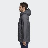 Мужская парка Adidas Xploric 3 CY8641_image_2