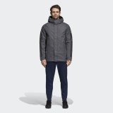 Мужская парка Adidas Xploric 3 CY8641_image_1