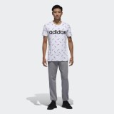 Мужские брюки Adidas M AOP TP DW7868_image_3