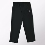 Тренувальні штани Adidas Ess Standford B X12268_image_1